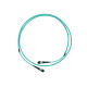 Cordon MPO-MPO 12 FO multimode OM4 50/125, Longueur : 3m