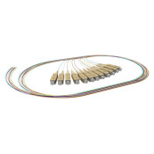85132 - Pigtails multimode OM3 50/125, Connectique : SC, Longueur : 1m, Quantité du pack sous blister : 12